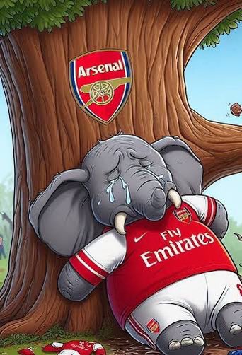 MR. JOHN tweet media