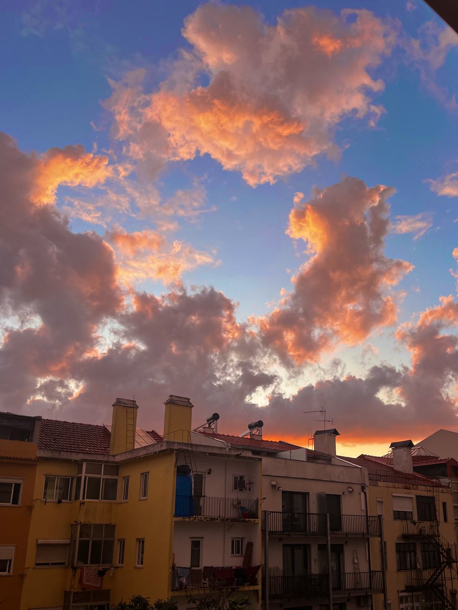 Marti Arti tweet media