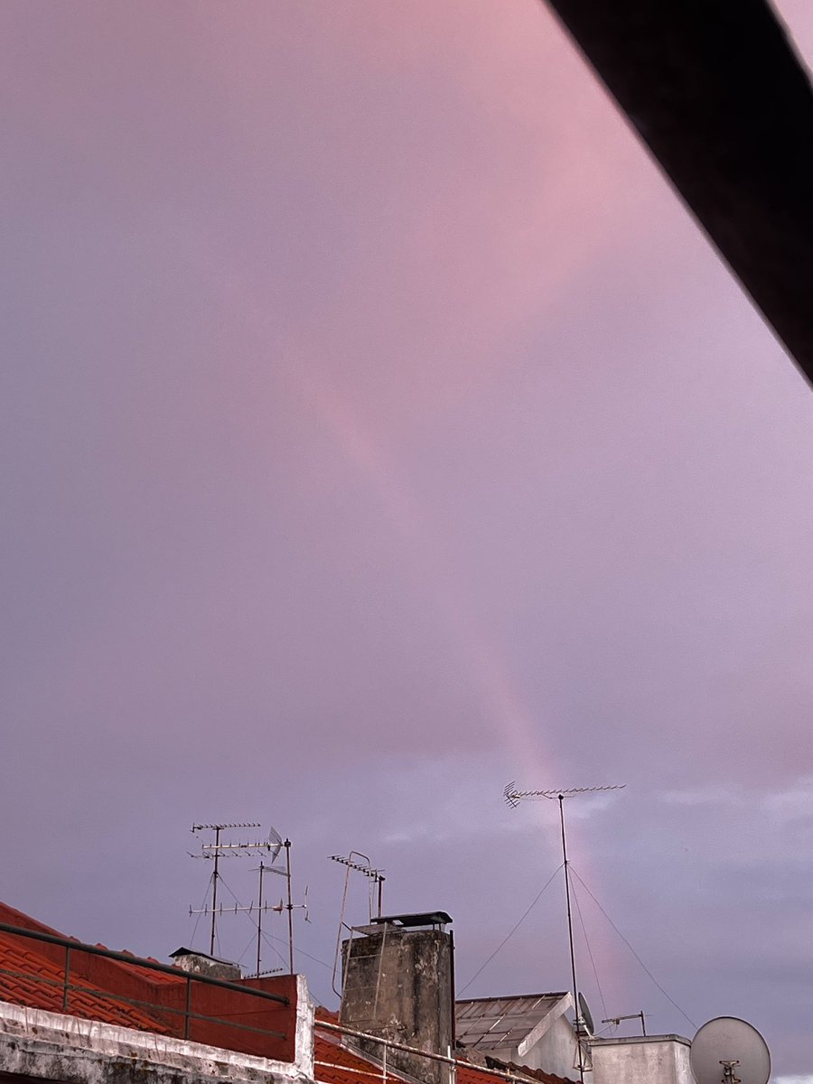 Marti Arti tweet media