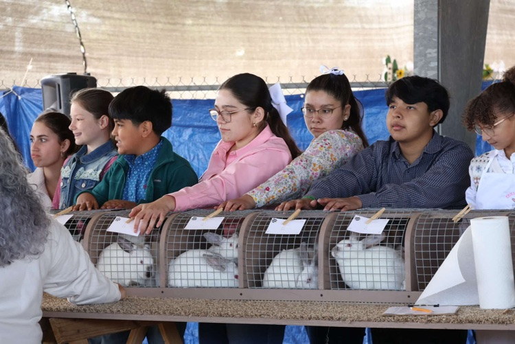 Warrior Nation tweet media