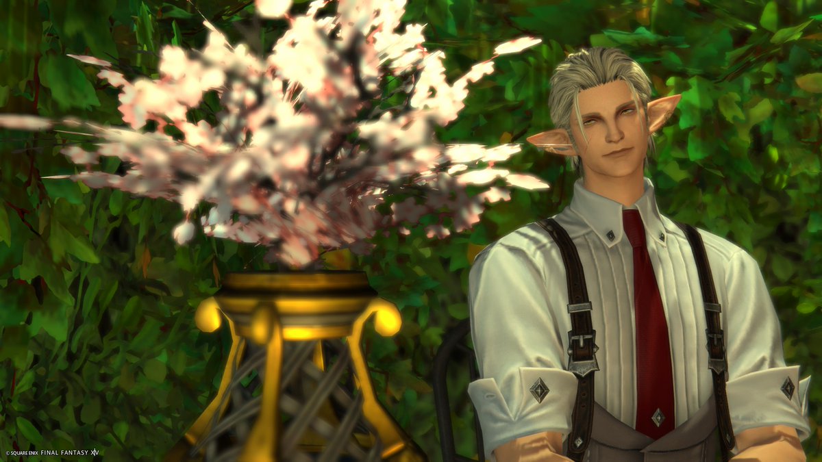 柚子蜜柑❁⃘*.ﾟ黄金中 tweet media