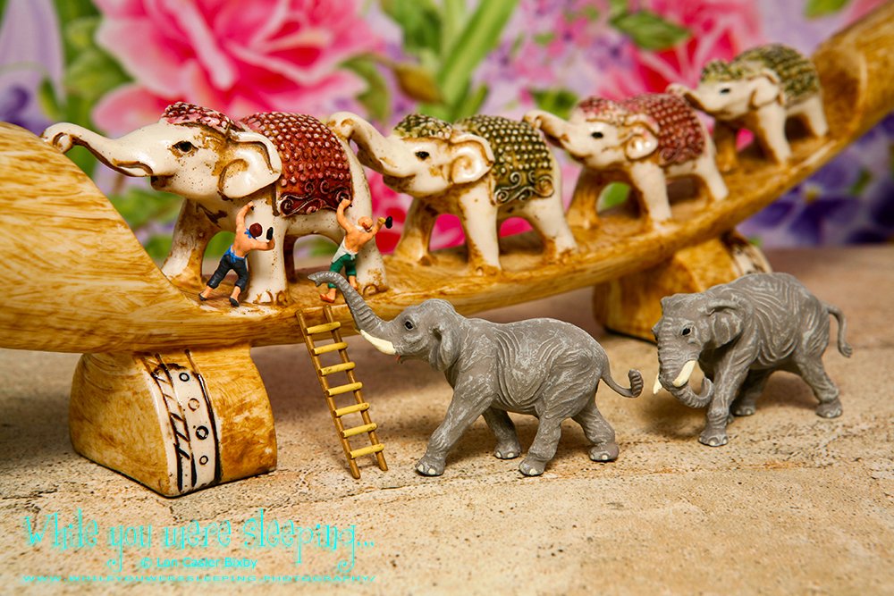 OfficialNeoichi's tweet photo. Hey, nice sculpting. But ivory looks better on us.
#macrophotography #tinypeoplephotography #ivorytrade #ivory #elephants #stoptheslaughter
https://t.co/SsDzxDIg1w https://t.co/vJqRTIeh8C