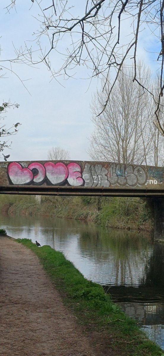 Ann Pilkington tweet media