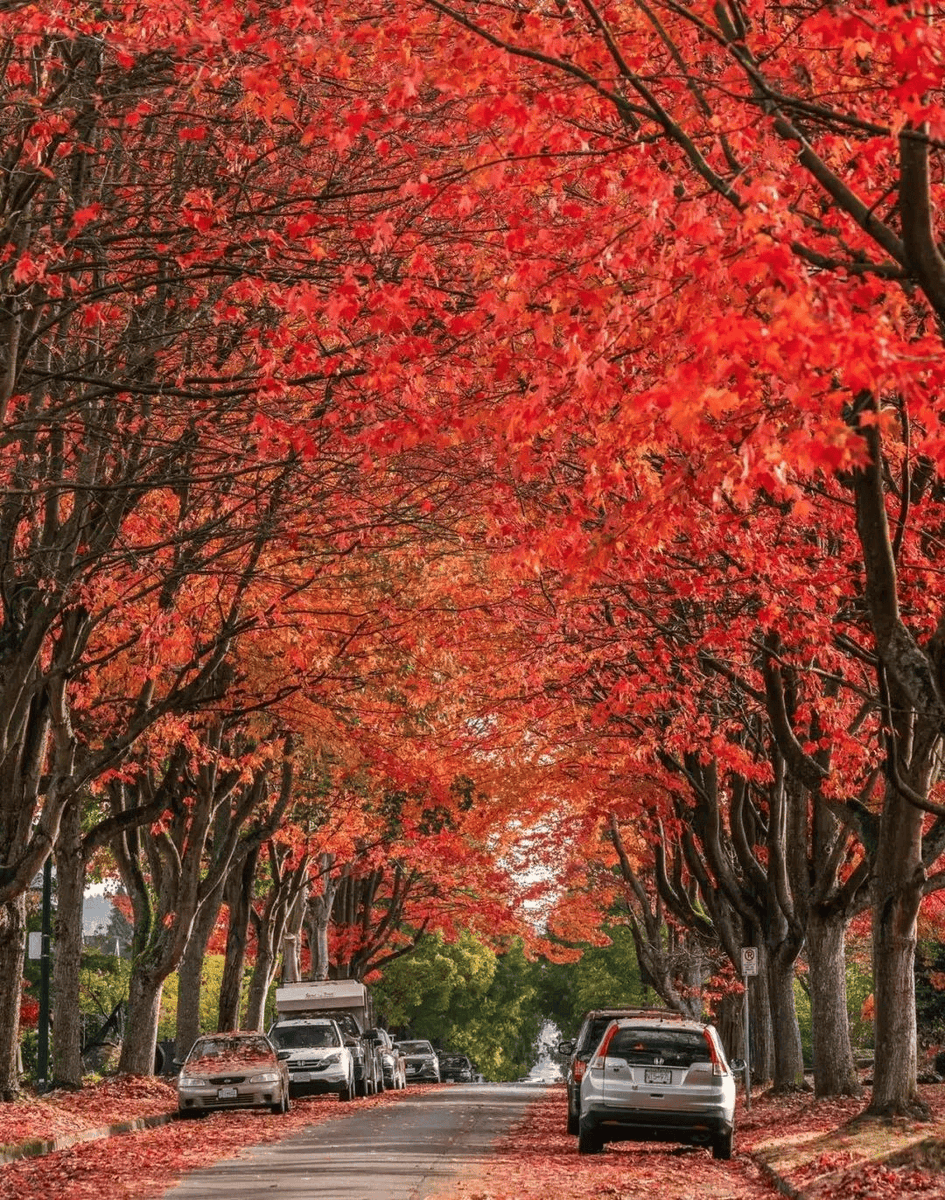 Lily Hunter tweet media