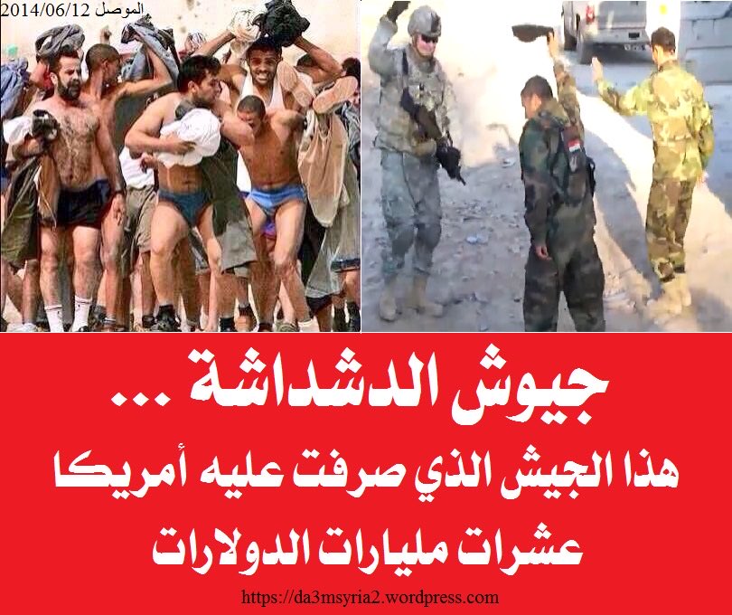 عhalladb tweet media