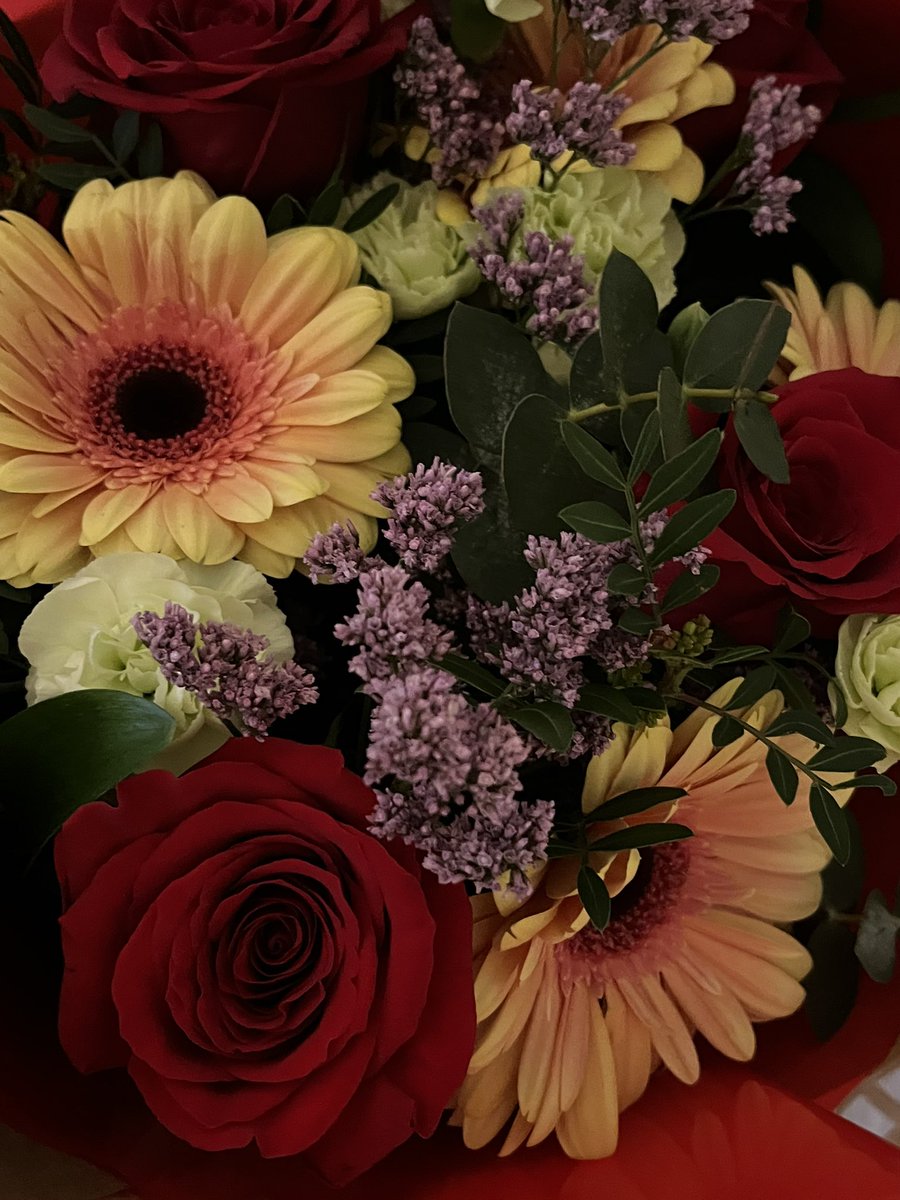 xexi alycon 🪎 tweet media