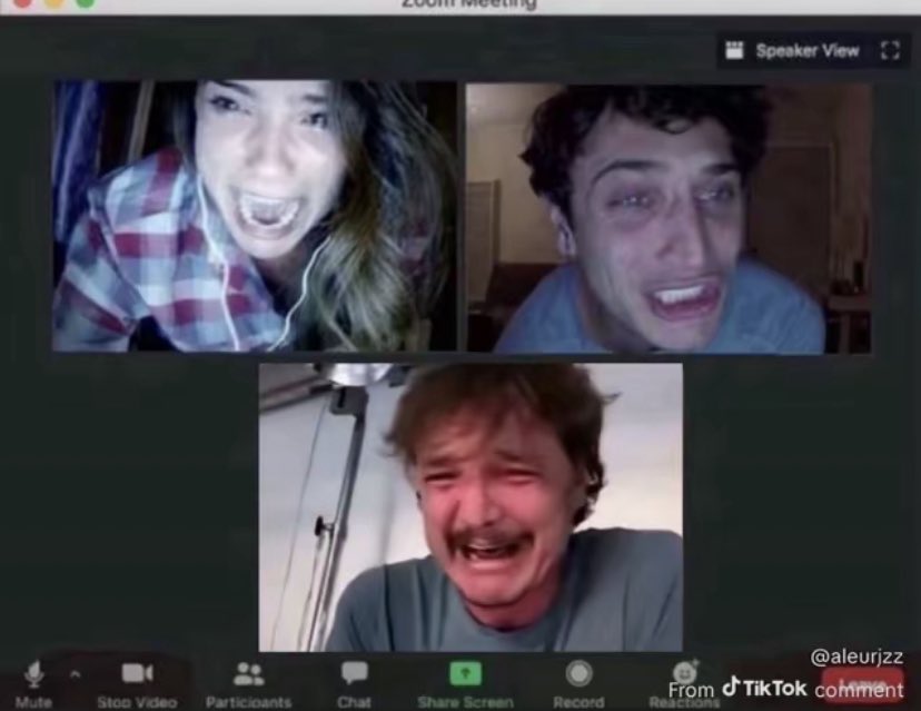 margo🌊 tweet media