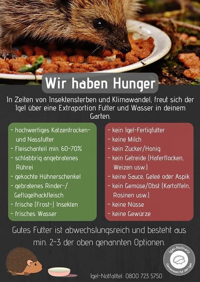 protectora_de_animales_lena Instagram tweet media