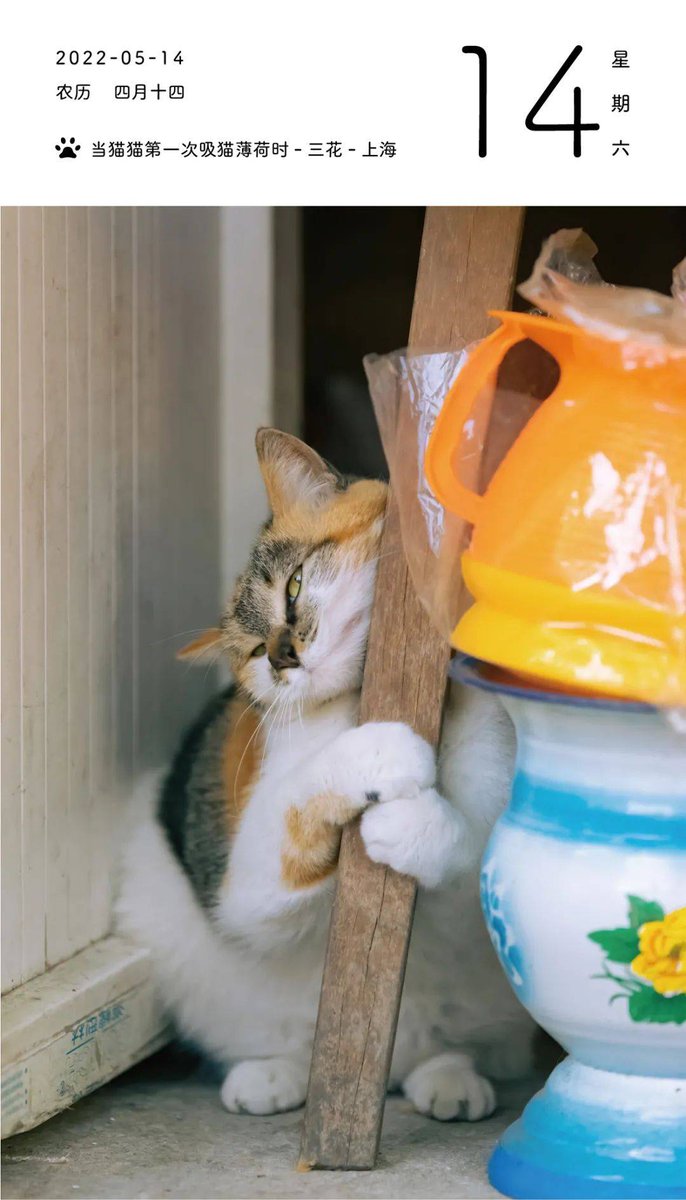 Samson Phoenix tweet media