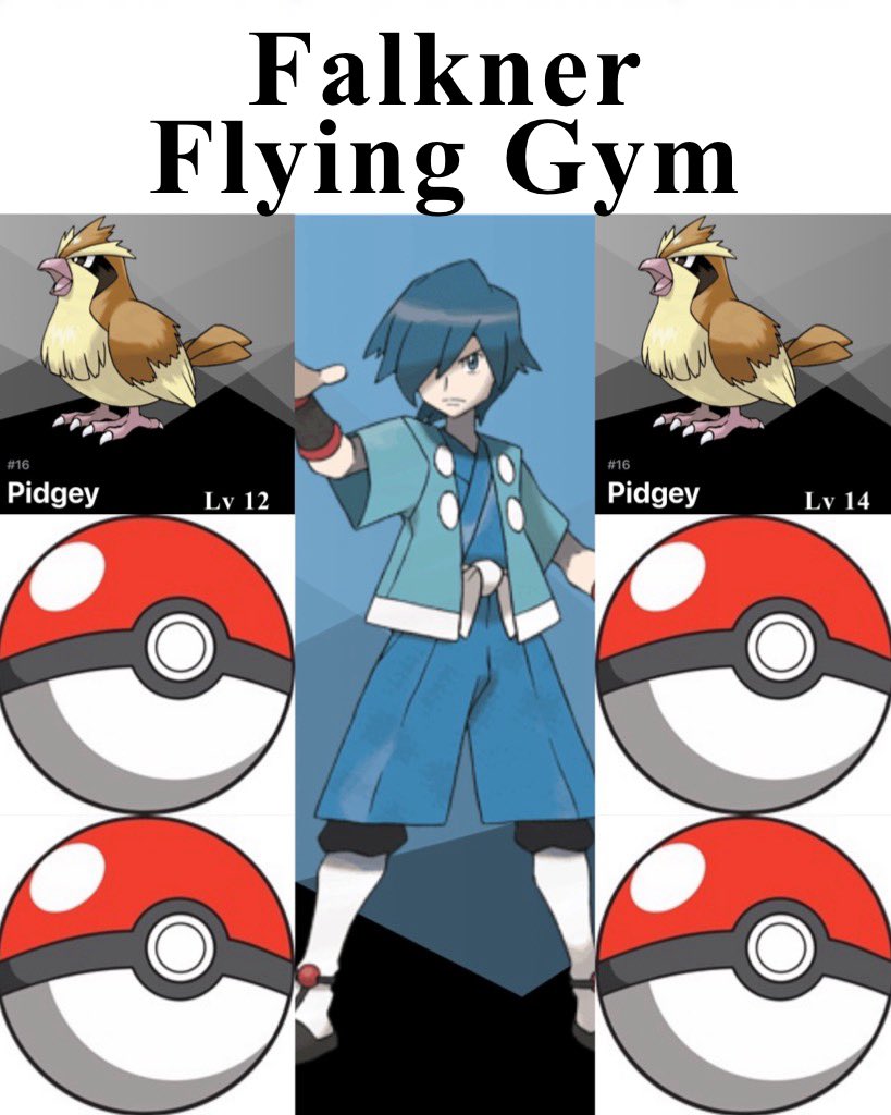 PaulBag101's tweet photo. Falkner (Flying)
Bugsy (Bug)
Whitney (Normal) https://t.co/XntsTQcAXQ