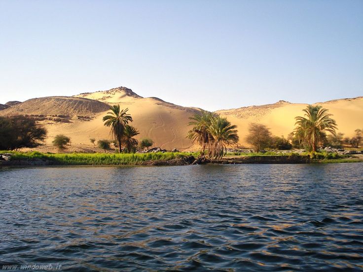 The Nature tweet media