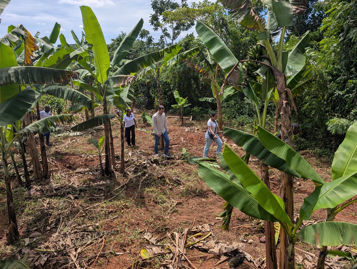End Plastic Pollution tweet media