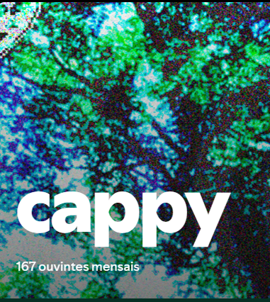 a cappy 🦇 tweet media