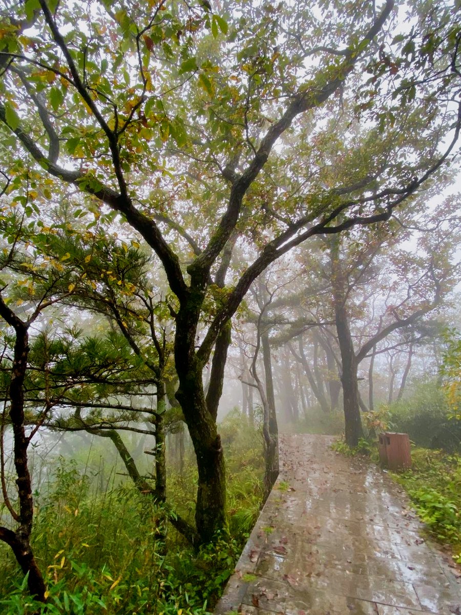 Ash Bash tweet media