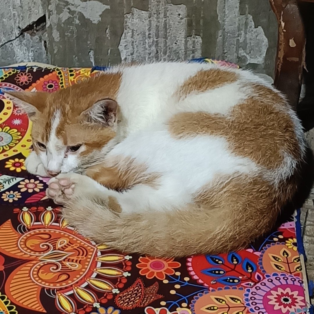 apip parker #slurp 🍒 tweet media