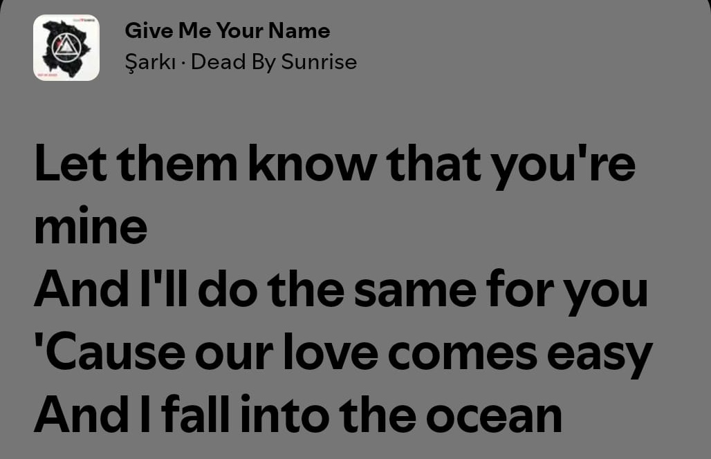 stargirl cheetos tweet media