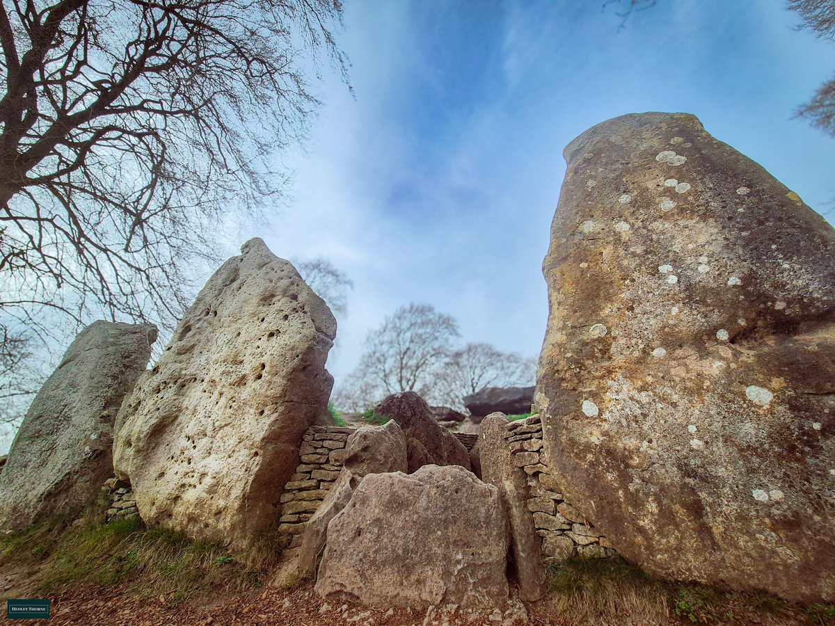 𝙃𝙚𝙙𝙡𝙚𝙮 𝙏𝙝𝙤𝙧𝙣𝙚 tweet media