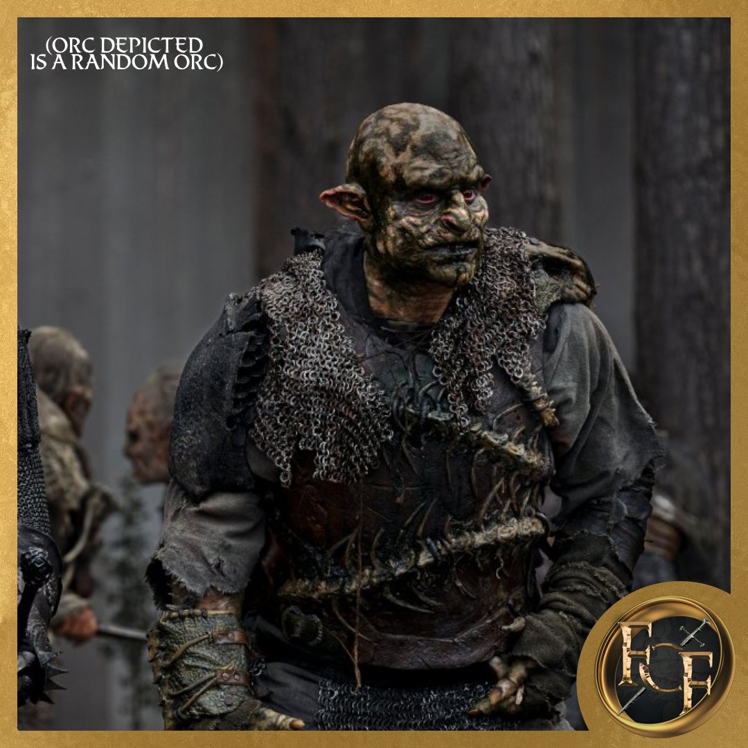 Fellowship of Fans 🐎 tweet media