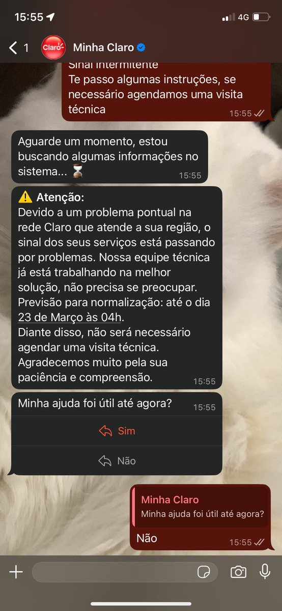 glichanm's tweet photo. Mais um dia enfrentando novamente problemas com a @ClaroBrasil vou desativar e colocar Vivo foda-se. Sempre no final de semana que tenho pra usar a internet e sempre fica ruim quando posso usufruir https://t.co/diIPfA33hf