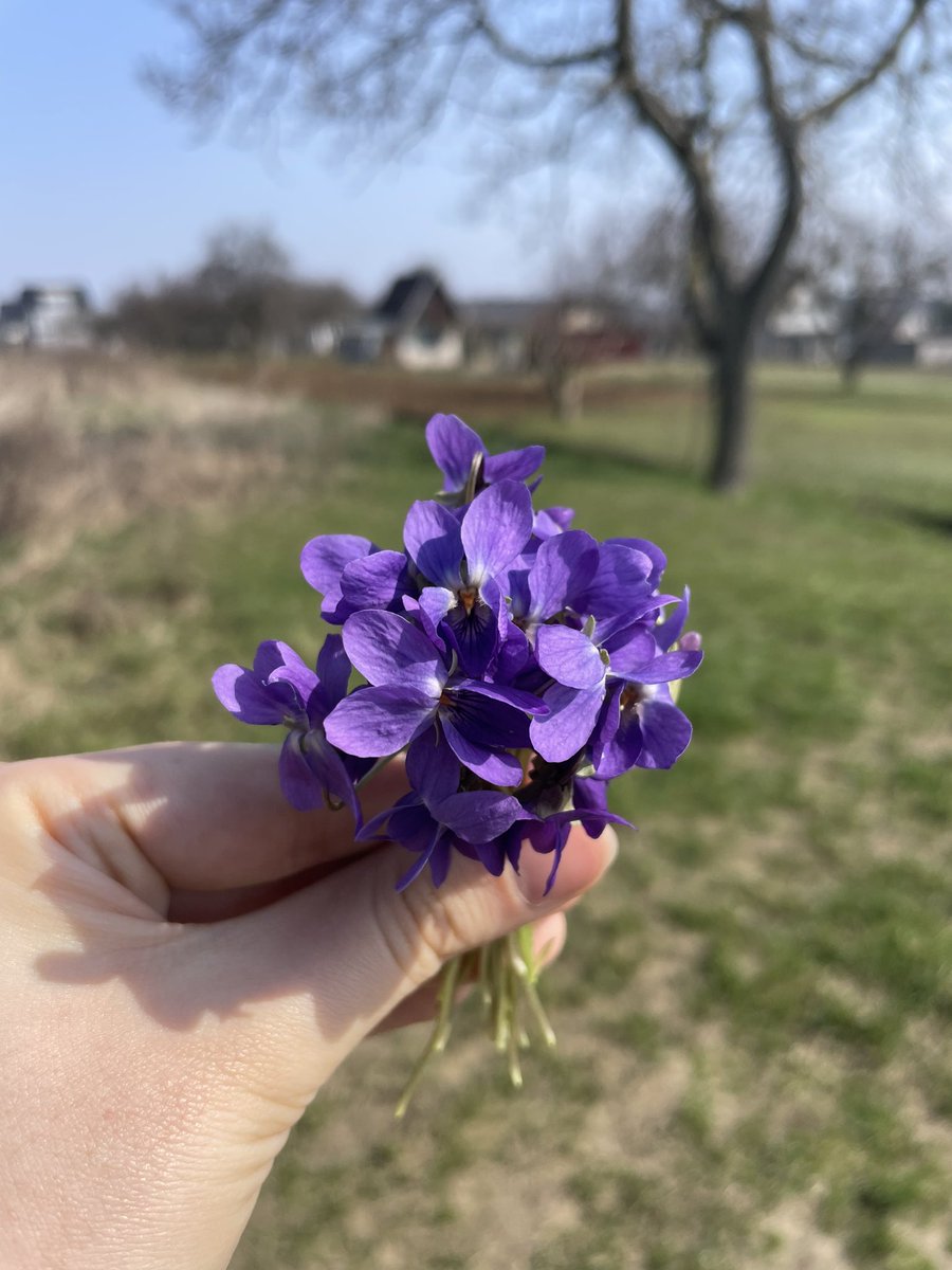 mliko the evil tweet media