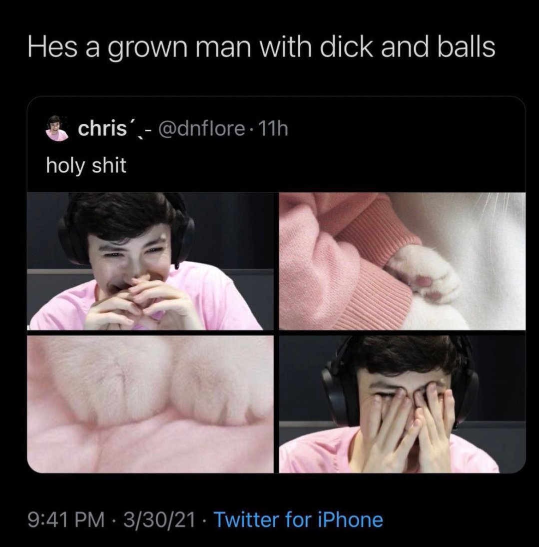 Pomka ㅅ✪⋆˚.⋆˚꩜｡⋆ tweet media