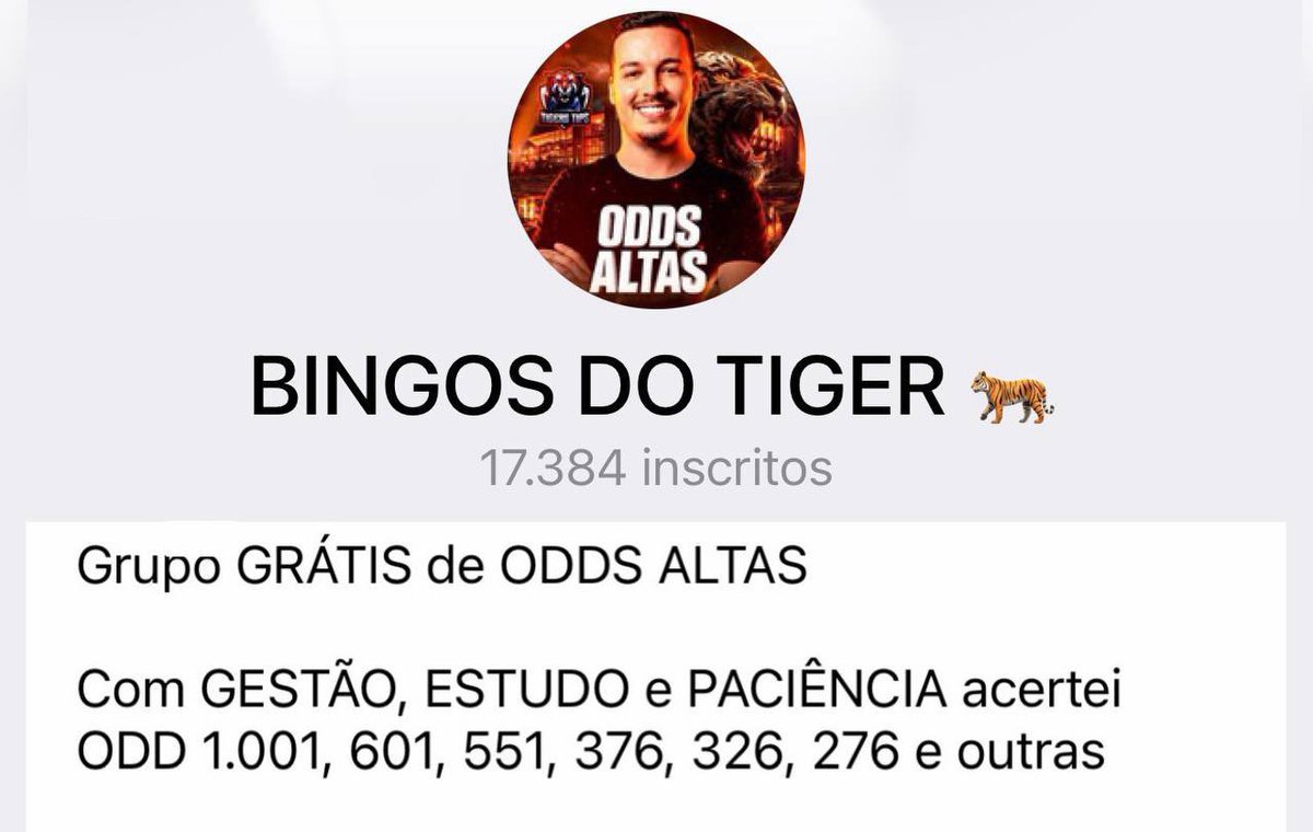 Lucas Paes - TIGER 🐯 tweet media