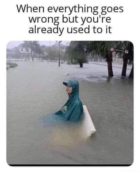 Zeducation tweet media