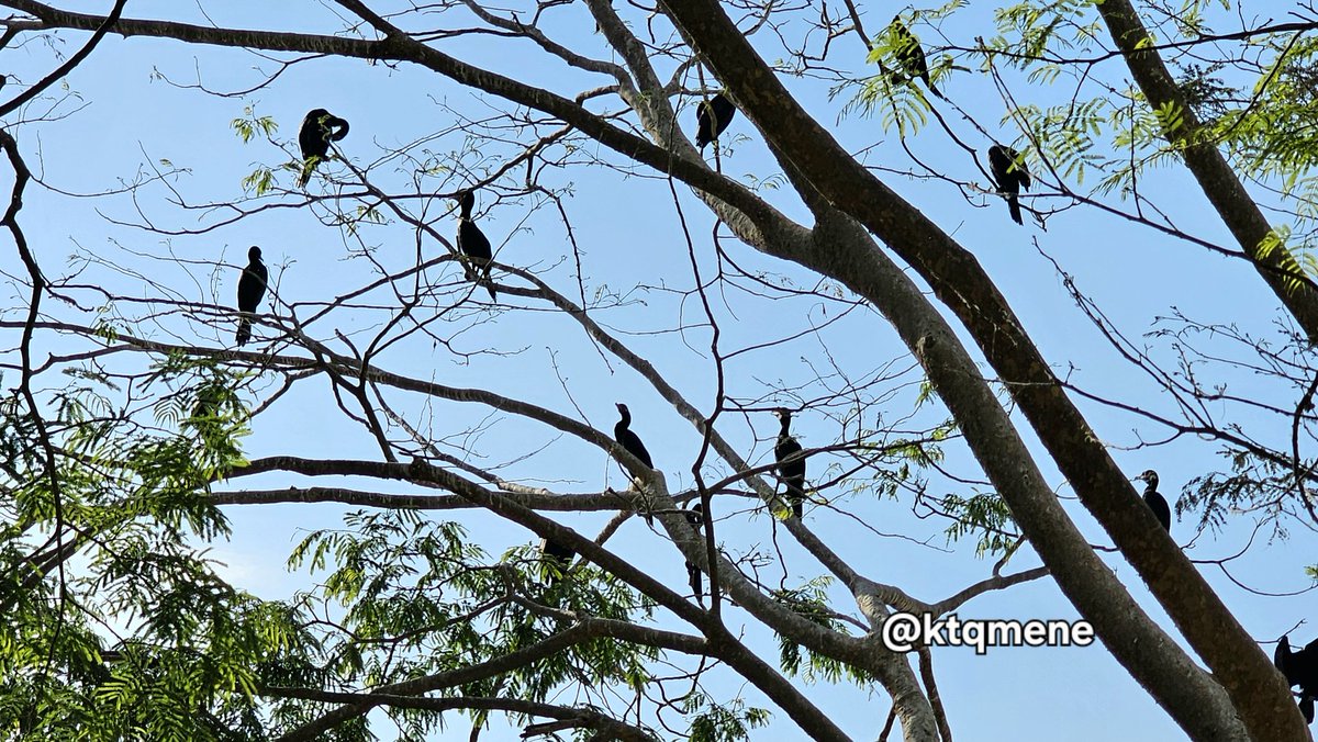 En sus orillas se disfruta del paisaje lacistre que se pierde en la distancia