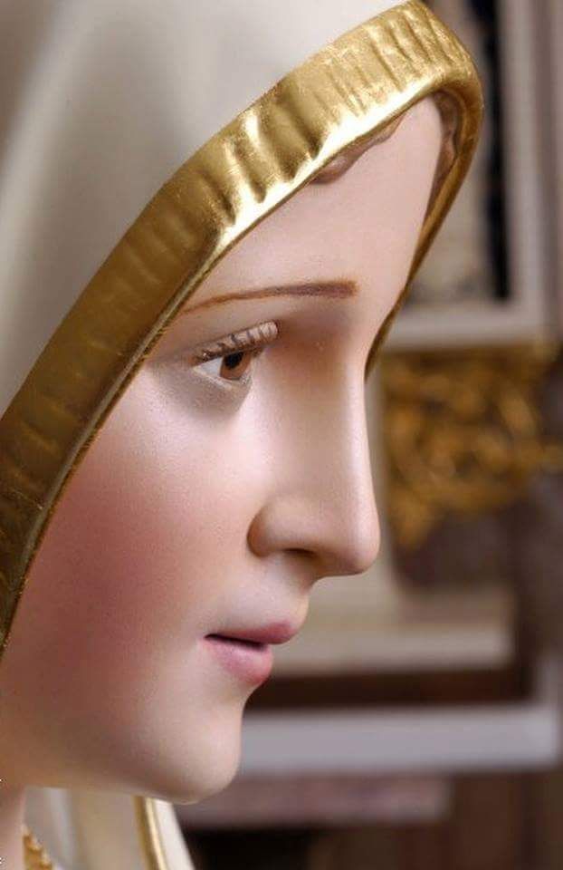 Saint Adaugoijele ✝️ tweet media