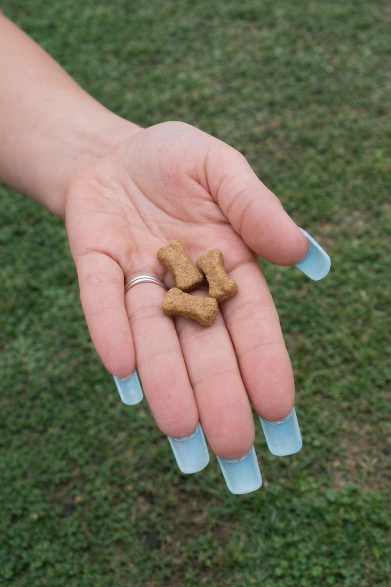 Lady Lux Noir tweet media