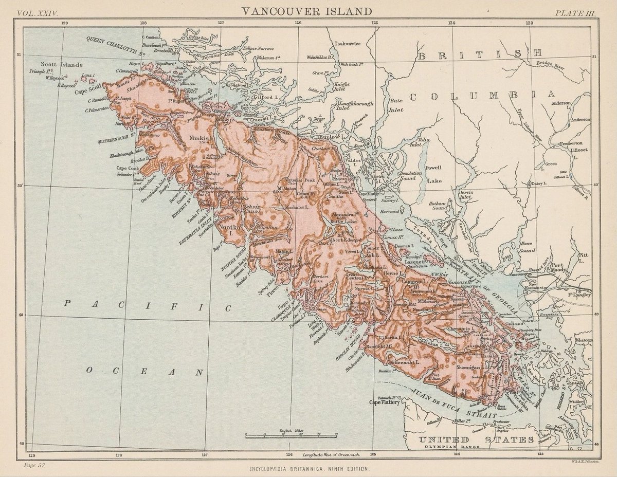 Cyuu ๐ฌ๐ง๐๐จ๐ฆ tweet media