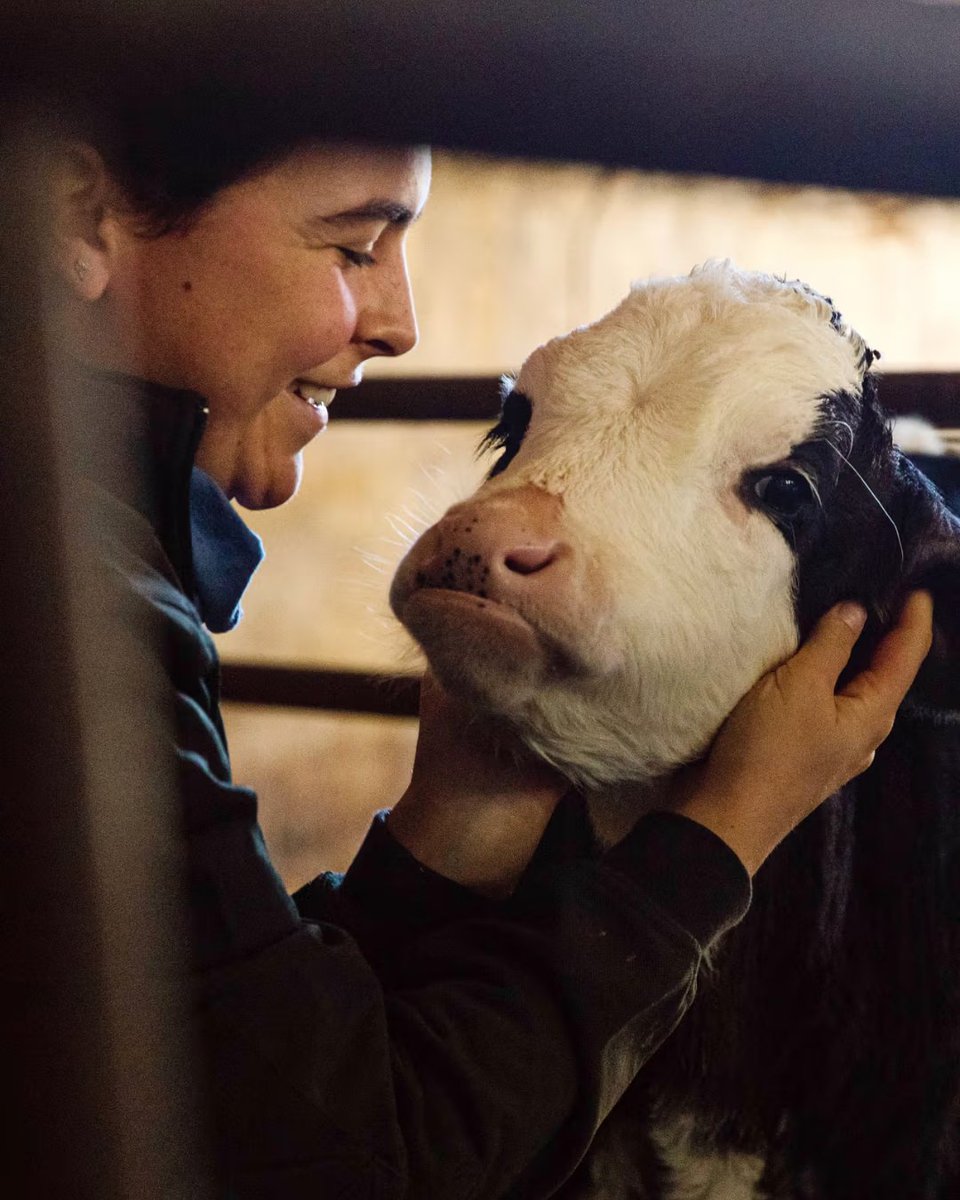 Benvinguts a Pagès tweet media