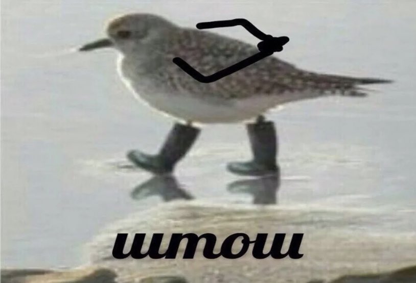 𝕾𝖆𝖓𝖙𝖆 𝕰𝖇𝖚𝖐𝖊𝖓𝖙𝖎𝖓𝖆 tweet media