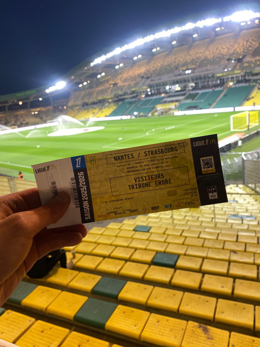 Flo 🐈‍⬛ tweet media