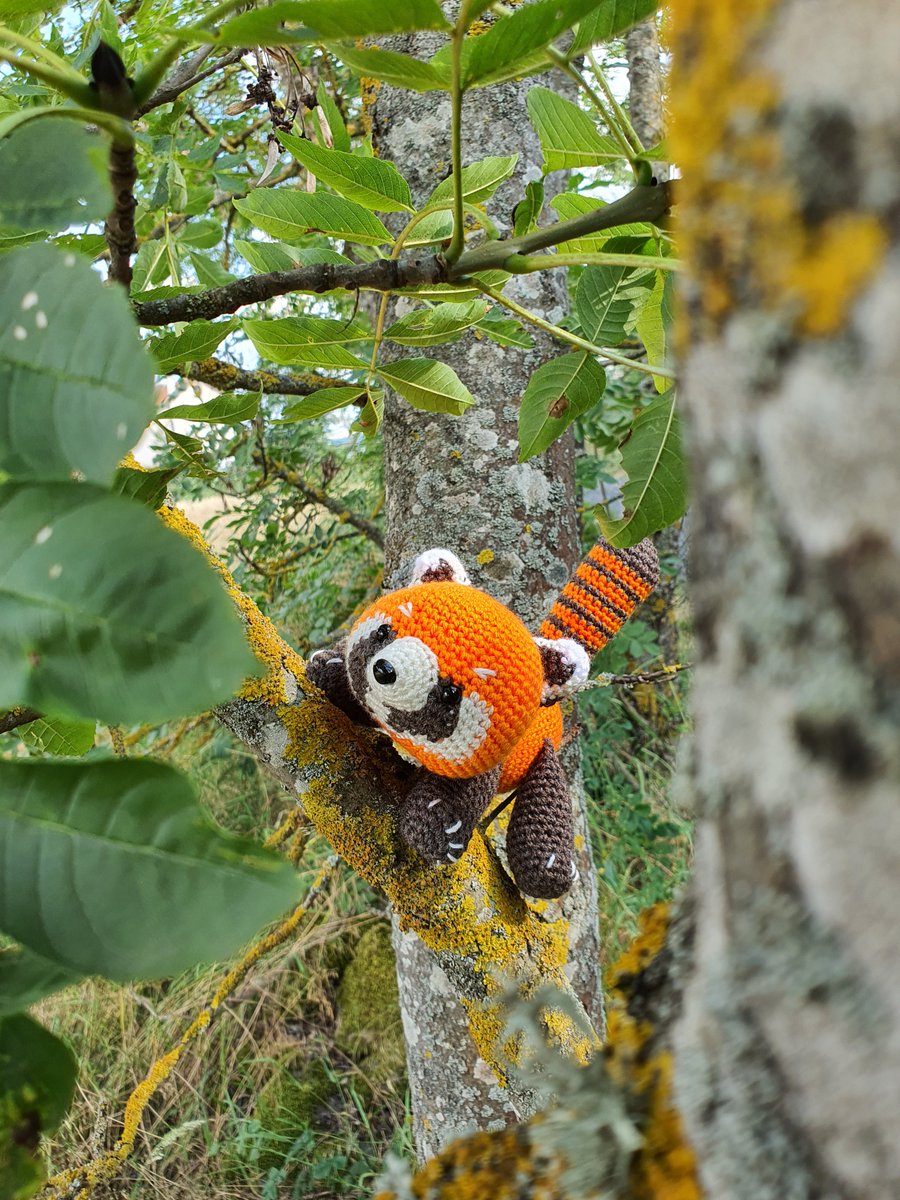 Hanawa Crochet tweet media