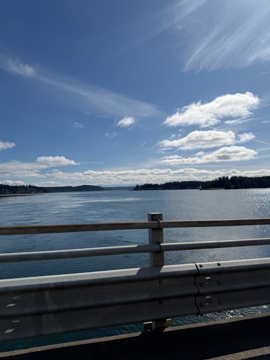 Stephen Shao 🏋️‍♀️ 🥋 🍄 🌊 ☀️ 🏔️ tweet media