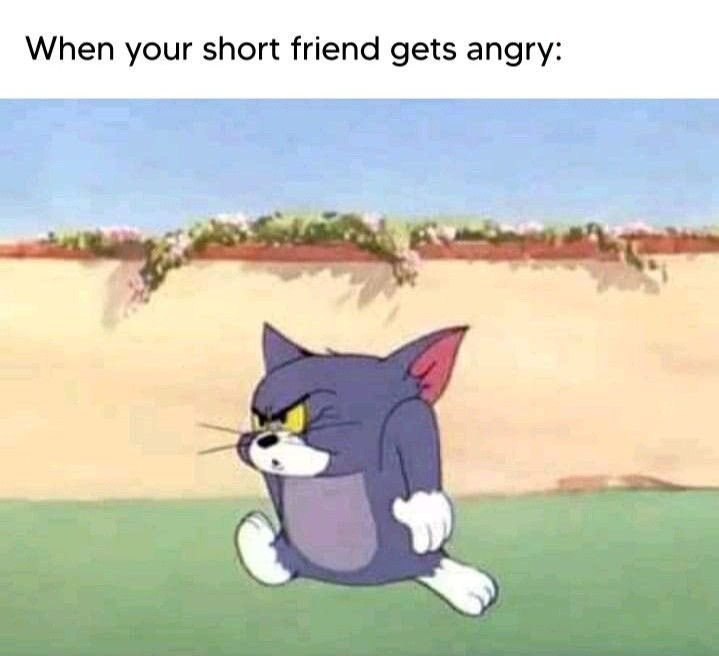 Walpurgis | Daisy | White Girl CEO 🍉 tweet media