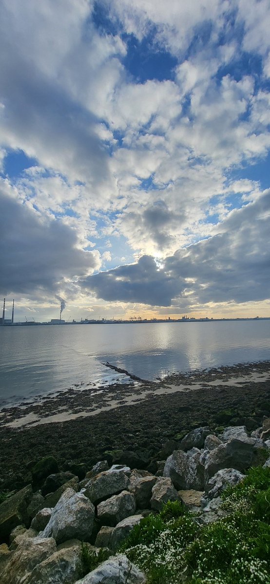 Jay Mates 🇮🇪💜🏍✈️🏍✈️🏍✈️ tweet media