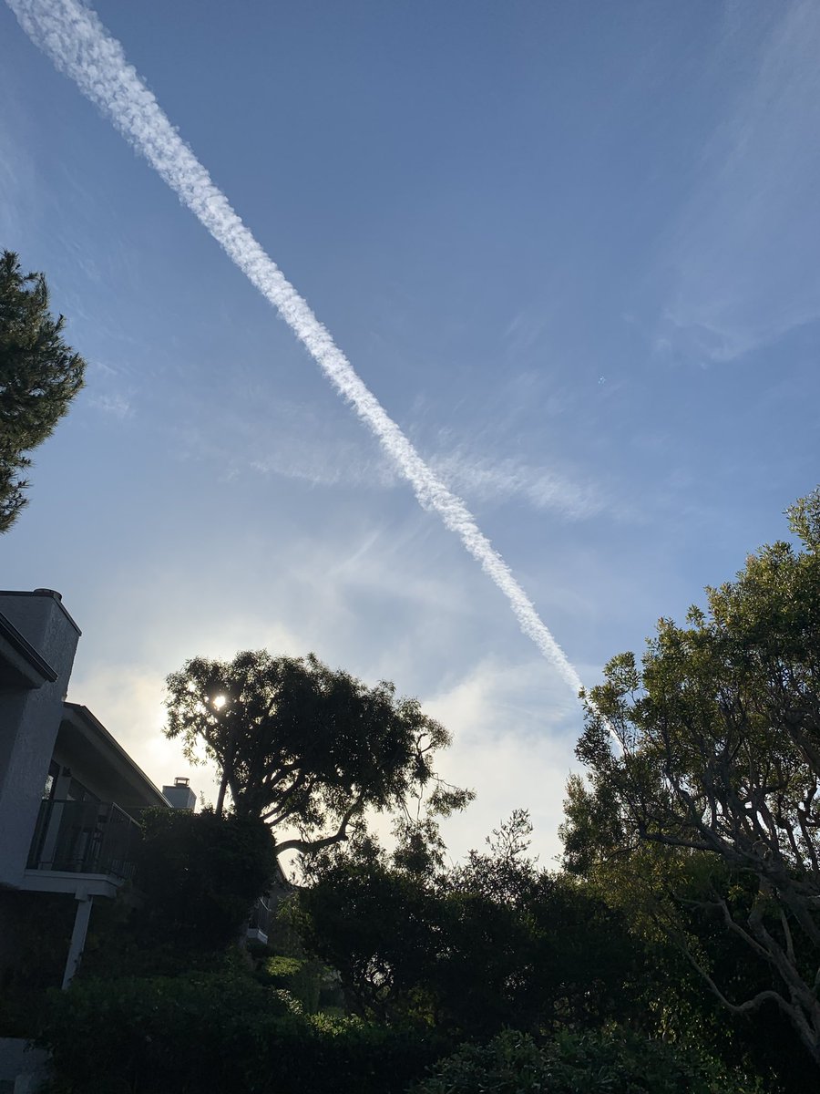 Lonnie Gordon tweet media