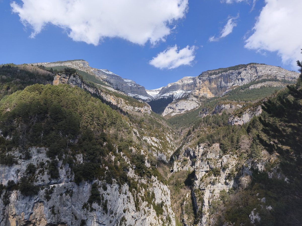 José Villalba tweet media