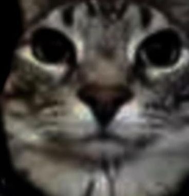 mimia ⁴ |DEADLINE🩷🖤 tweet media