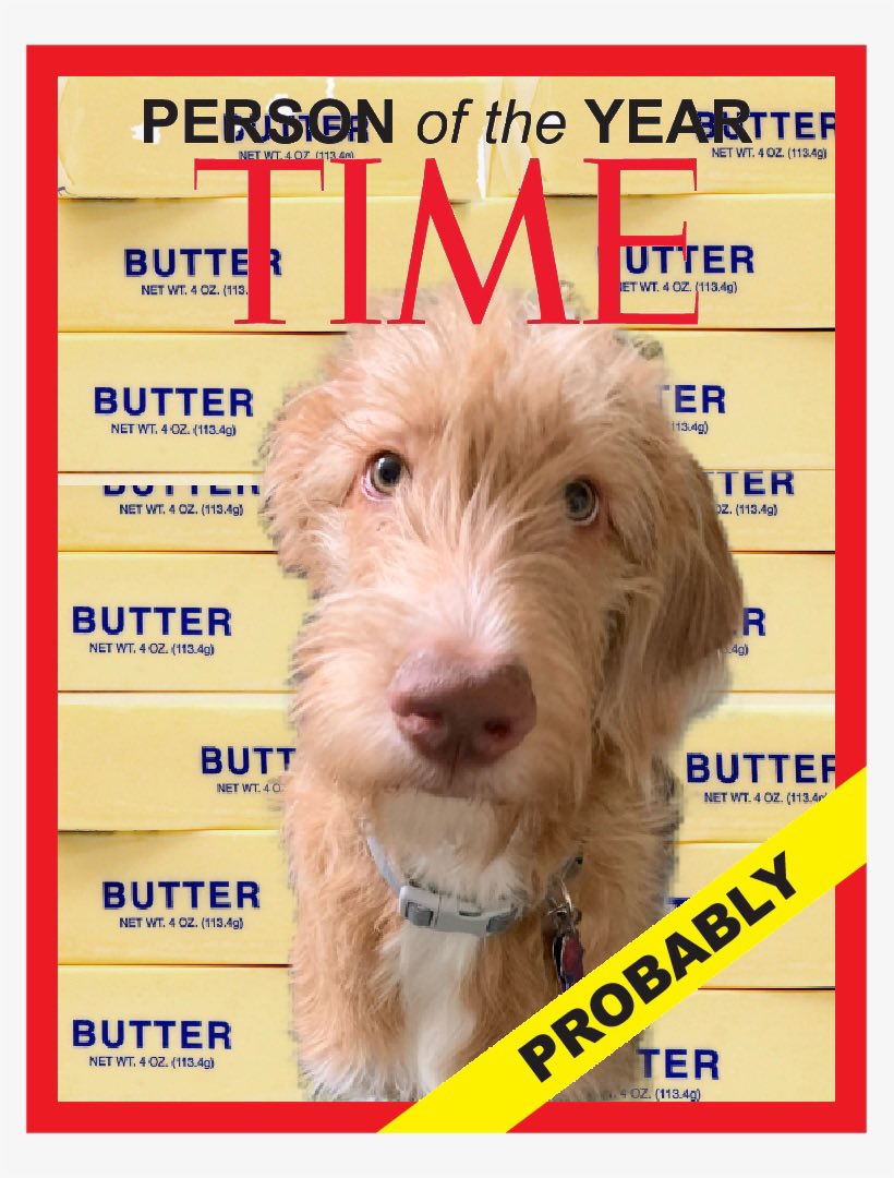 THE HERD HOUSE tweet media