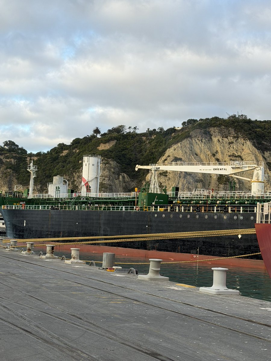 Chimerajaxs tweet media