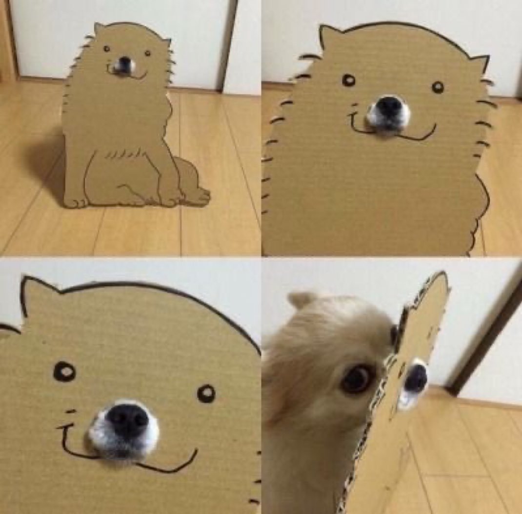 no context animals tweet media