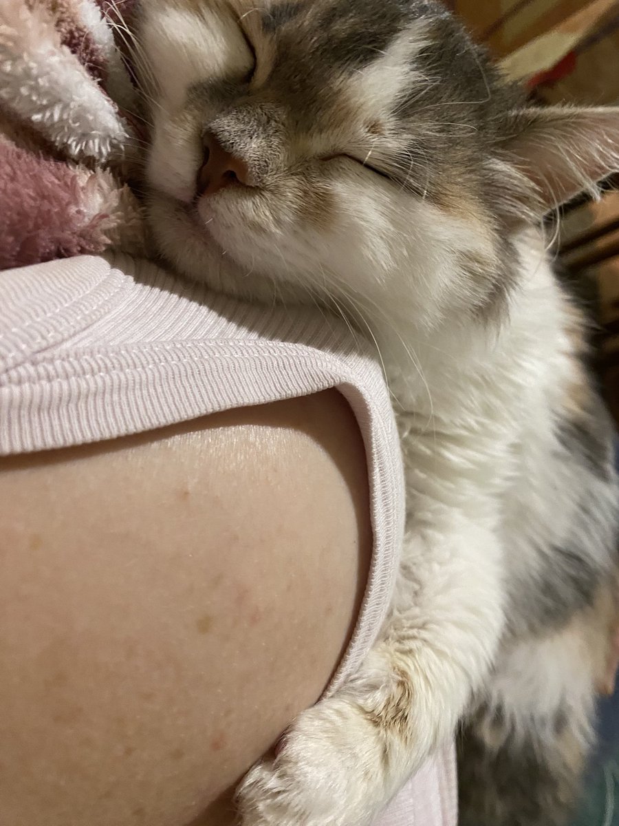 чичері чичері tweet media