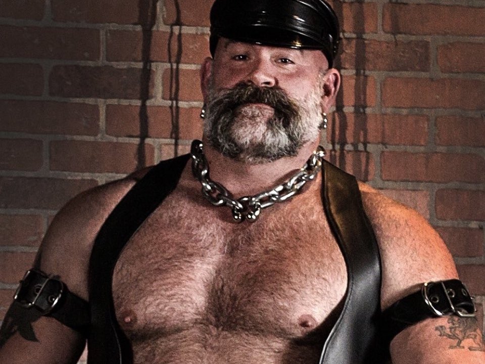 TopPigBB tweet media