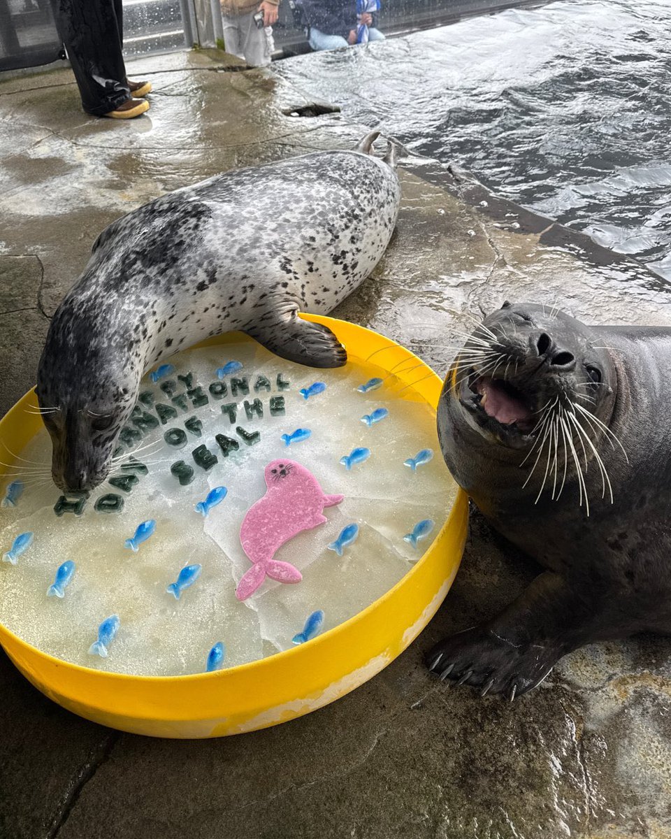 january febuary moss april .𖥔 ݁ ˖ tweet media