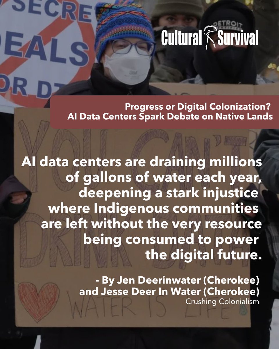 CSORG's tweet image. On #WaterDay, we reflect on the growing pressure on water resources in the age of AI. 

This imbalance underscores a critical truth: water is not just a resource, but a right that must be protected. #Waterislife
Source: Crushing Colonialism
culturalsurvival.org/news/progress-…