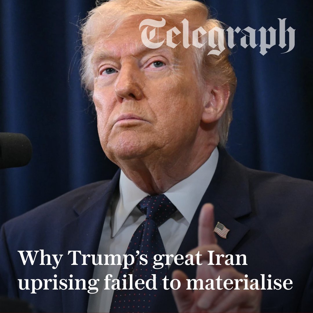 The Telegraph tweet media