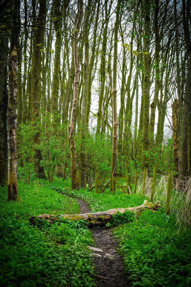 Hannah // Get Lost in Yorkshire tweet media